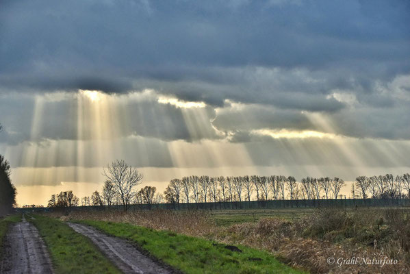 Lichtdurchbruch im Havelland