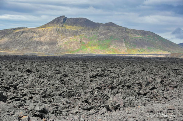 Frisches Lavafeld bei Grindavik.