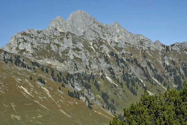 Blick vom Hahnenkamm bei Reutte auf die Tannheimer Gruppe / Österreich