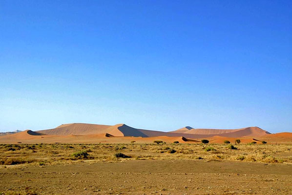 Das Sossusvlei in der Namib ist umgeben von den höchsten Dünen der Welt aus rotem Sand, sie sind bis 380m hoch.