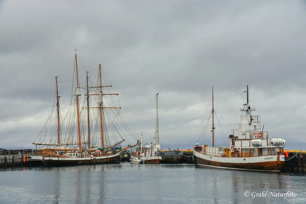 Im Hafen von Húsavik.