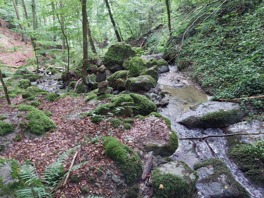 das wildromantische Sagbachtal