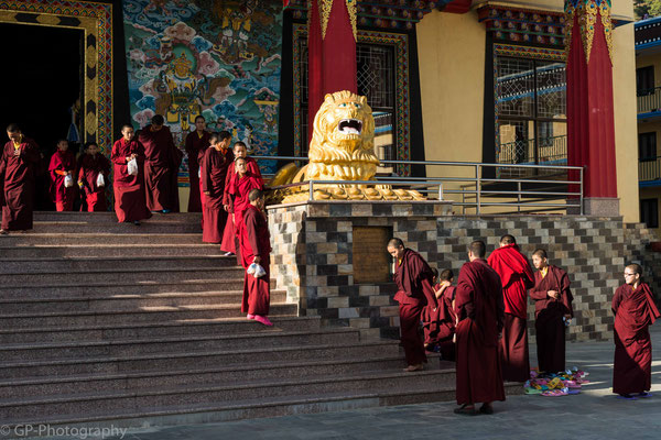 Pharping, Nepal, 2013