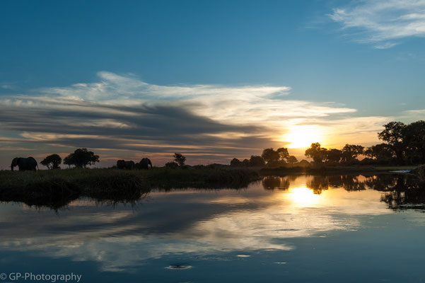 River close to Kadizora Lodge, Okawango Delta