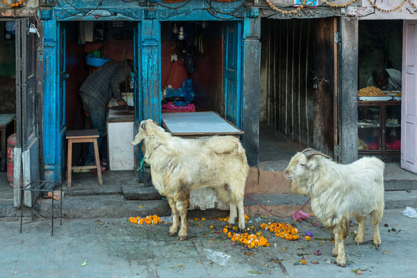 Near Kathesimbhu stupa, Thamel, Kathmandu, Nepal, 2013
