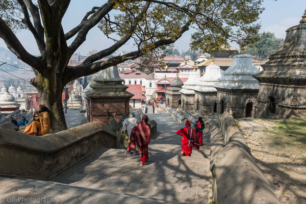Pashupatinath, Nepal, 2013