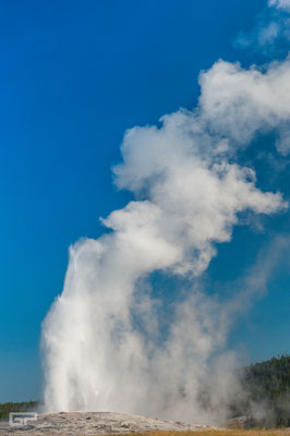 Old Faithful - Upper Geyser Basin - Yellowstone National Park - 2016