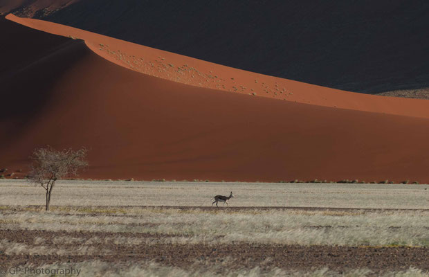 Sossusvlei, Namibia 2011