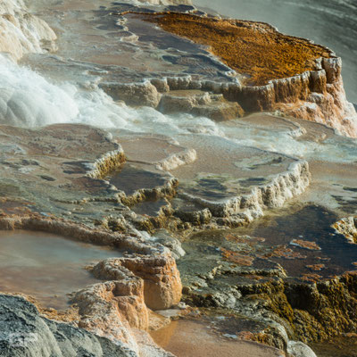 Upper Terrace - Mammoth Hot Springs - Yellowstone National Park - 2016