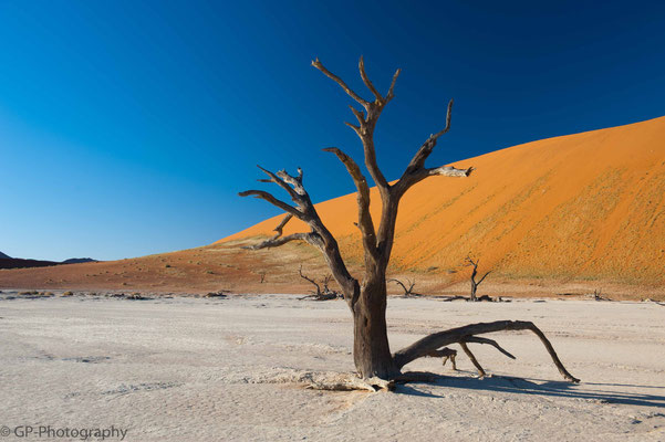 Dead Vlei, Namibia 2011