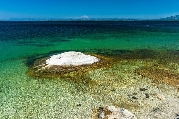 Lakeshore Geyser - West Thumb Geyser Basin - Yellowstone National Park - 2016