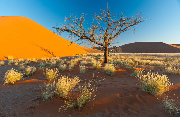 Sossusvlei, Dune 45, Namibia 2011