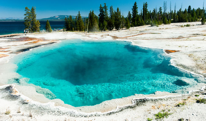 Black Pool - West Thumb Geyser Basin - Yellowstone National Park - 2016