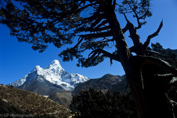 Ama Dablam