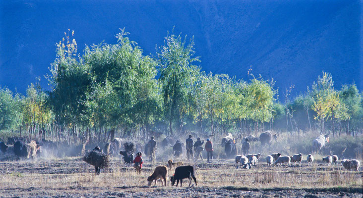 Farmers in Samye, Tibet 1993