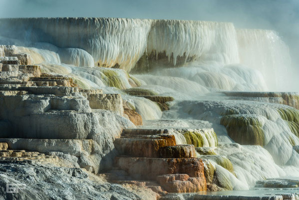 Upper Terrace - Mammoth Hot Springs - Yellowstone National Park - 2016