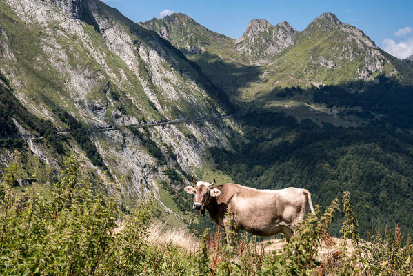 Col d’Aubisque 