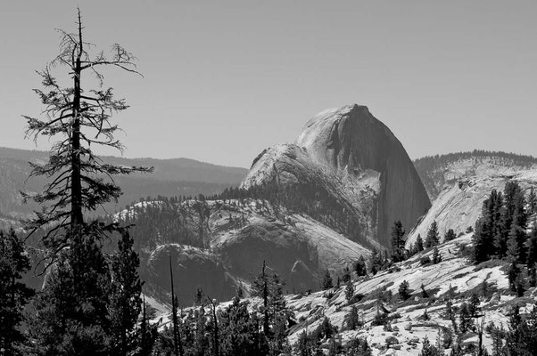 Yosemite NP, CA