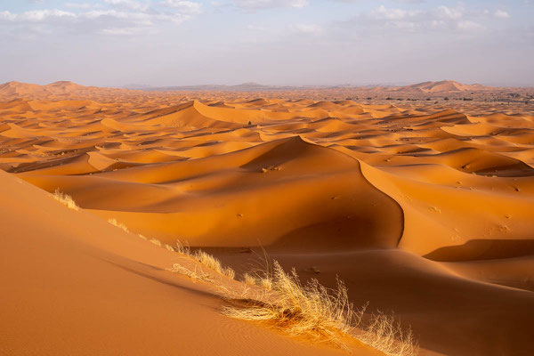 Erg Chebbi
