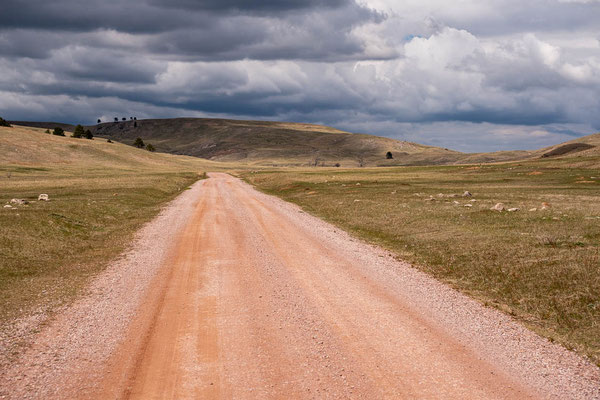 Custer State Park, South Dakota