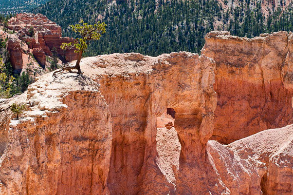 Bryce Canyon NP, Utah