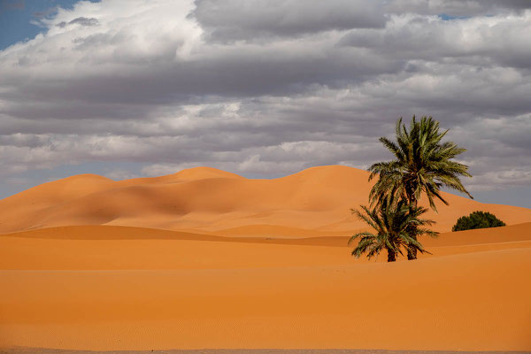 Erg Chebbi