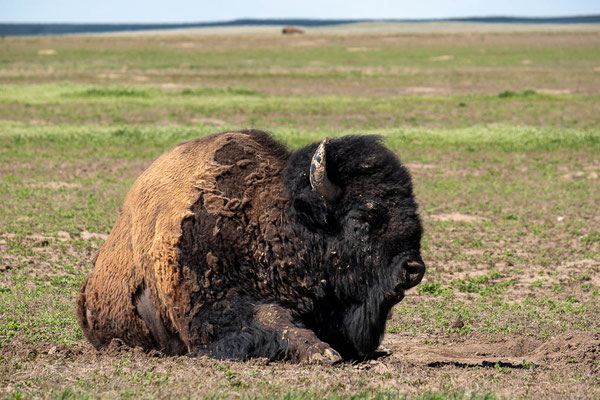 Badlands NP, South Dakota