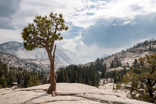Yosemite NP, CA