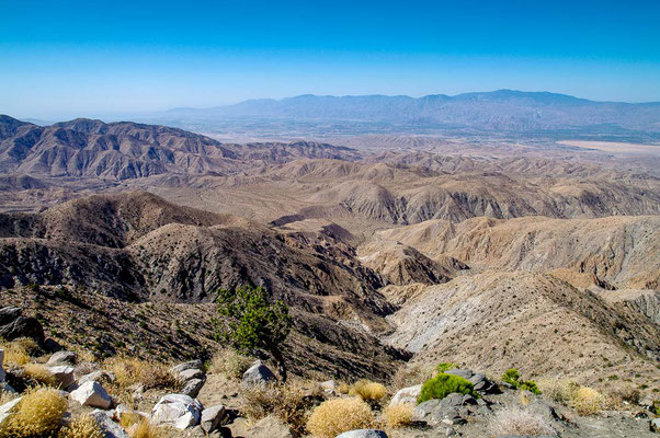 Joshua Tree NP, CA