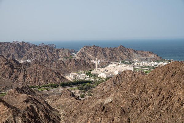 Muscat