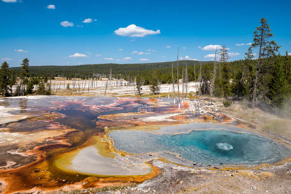 Yellowstone NP, Wyoming
