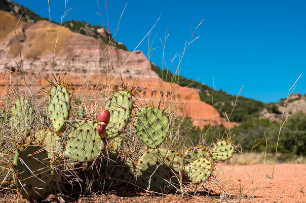 Palo Duro Canyon State Park, Texas