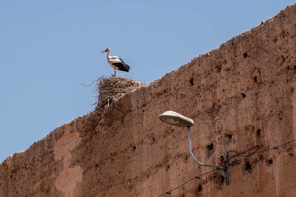 Marrakesch
