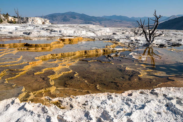Yellowstone NP, Wyoming