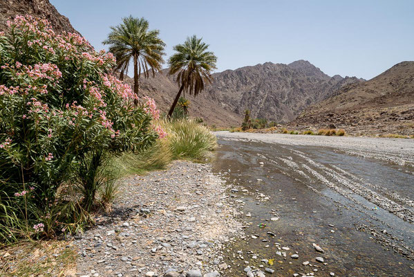 Oman - Wadi Far