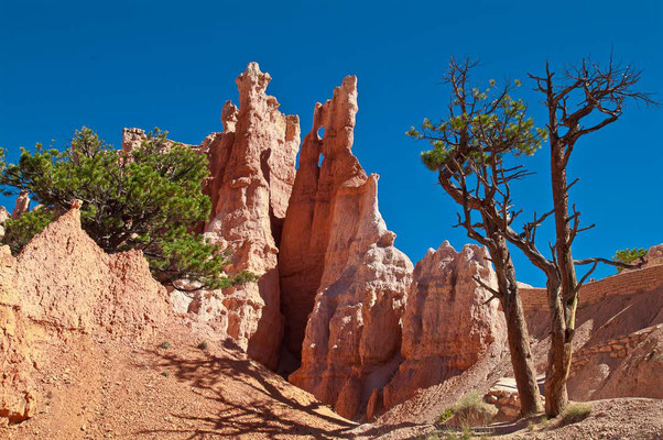 Bryce Canyon NP, Utah