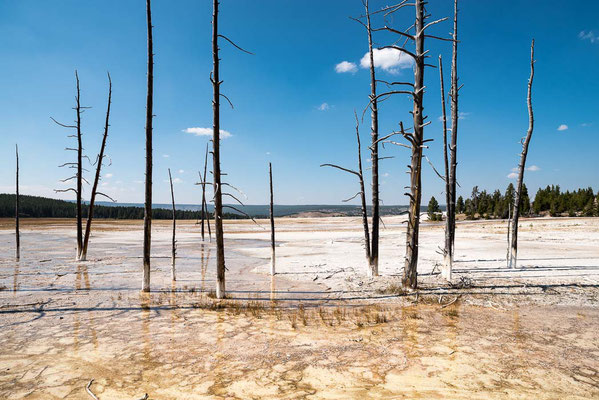 Yellowstone NP, Wyoming