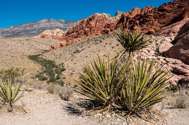 Red Rock Canyon, Nevada