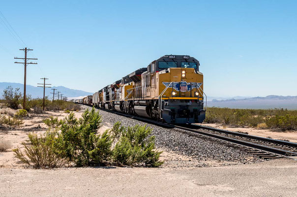 Mojave National Preserve, CA