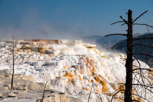Yellowstone NP, Wyoming