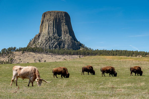 Devils Tower National Monument, Wyoming