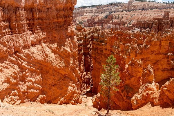 Bryce Canyon NP, Utah