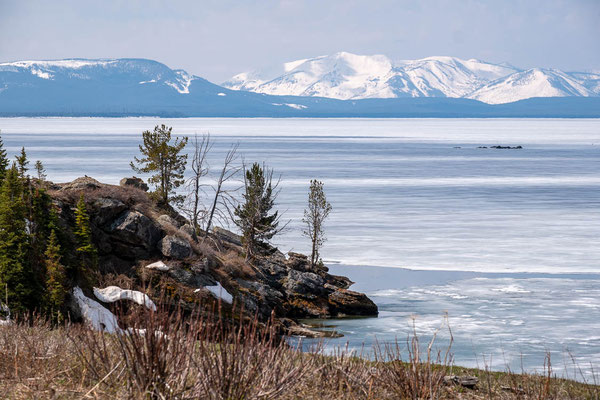 Yellowstone NP, Wyoming