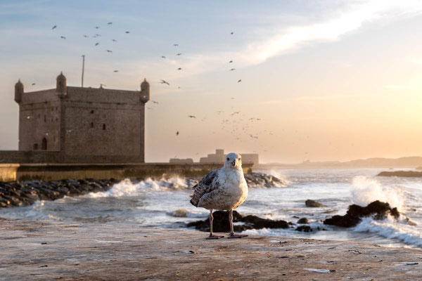 Essaouira