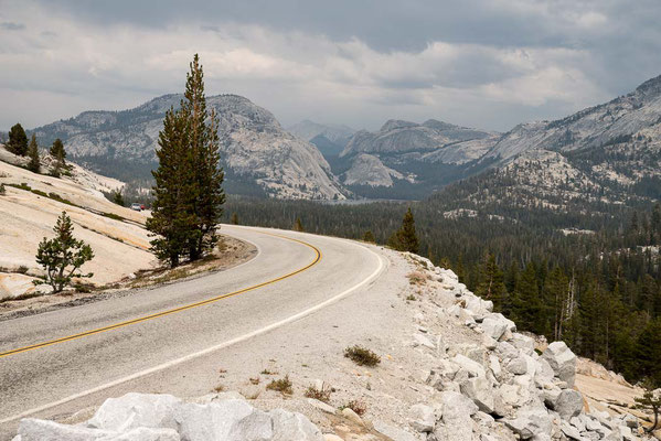 Yosemite NP, CA