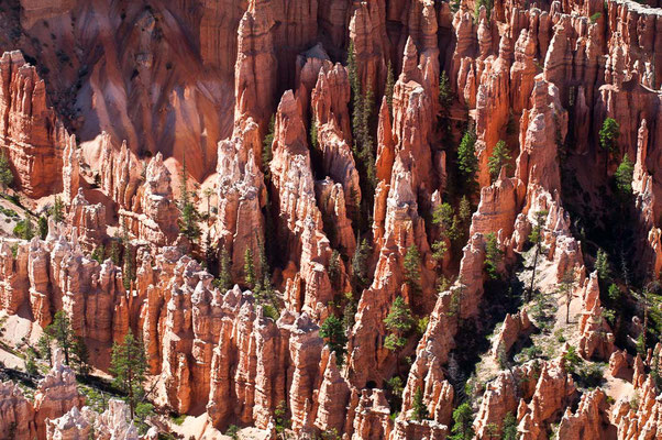 Bryce Canyon NP, Utah