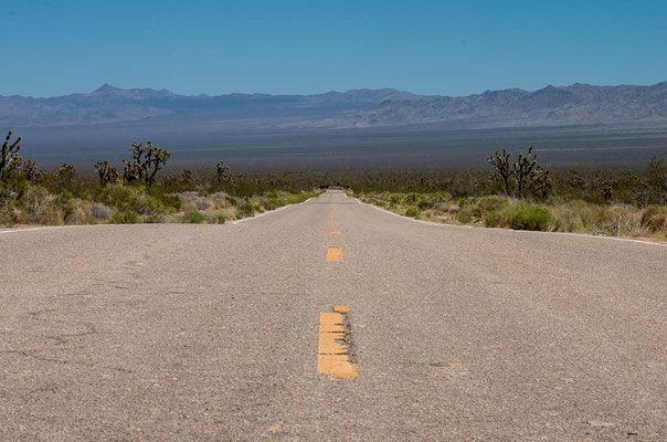 Mojave National Preserve, CA