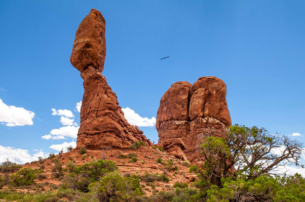 Arches NP, Utah