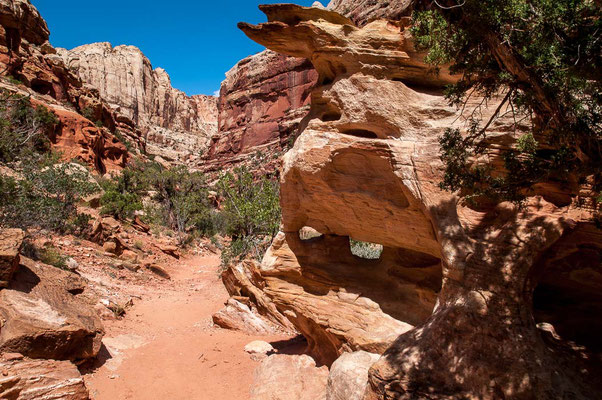 Capitol Reef NP, Utah