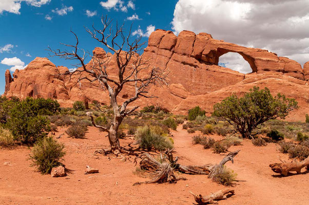 Arches NP, Utah